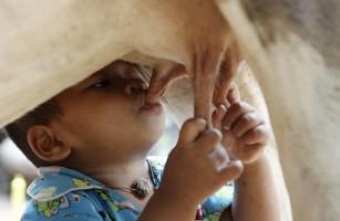 World Milk Day 2018,World Milk Day,World Milk Day pics,World Milk Day images,World Milk Day quotes,World Milk Day wishes,World Milk Day greetings,World Milk Day sms,World Milk Day status