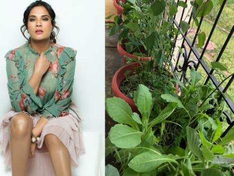 Its a known fact actress Richa Chadha has an inclination towards conservation of the environment and also works towards several ways to be as environmentally conscious as possible. Richa has expressed her thoughts number of times of saving the natural resources and encourages her fans too on social media to go green. In fact, she has gone a step further to speak her mind through one of her upcoming short film that deals with similar kind of issues. Recently Richa moved into a new spacious home in the western suburbs of Mumbai, where she has a good amount of space in her new apartment which she is putting to best use. Understanding that living in a big city, one doesn’t have the luxury to have a lot of space and thus to make use of the space one has Richa started growing some of her own organic food.