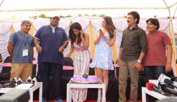 South Indian actress Parul Yadav celebrated her birthday with Actress Kajal Aggarwal, Tamannaah Bhatia and Ramesh Aravind on Queen sets in Mysore. The 2014 Hindi movie is being remade as 