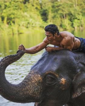 On World Environment Day, Vidyut Jamval who will be seen in 'Junglee' the film directed by American filmmaker Chuck Russell and produced by Junglee Pictures posted a sweet picture on this occasion with his co-star in the film Bhola, the elephant. Vidyut's post on Twitter: I've always been an animal lover but after shooting for #Junglee, I am mesmerized by the mighty elephants! On #WorldEnvironmentDay, I promise to take care of these stunning creatures for life! Junglee is an action thriller film which revolves around the unique friendship between a man and elephant.