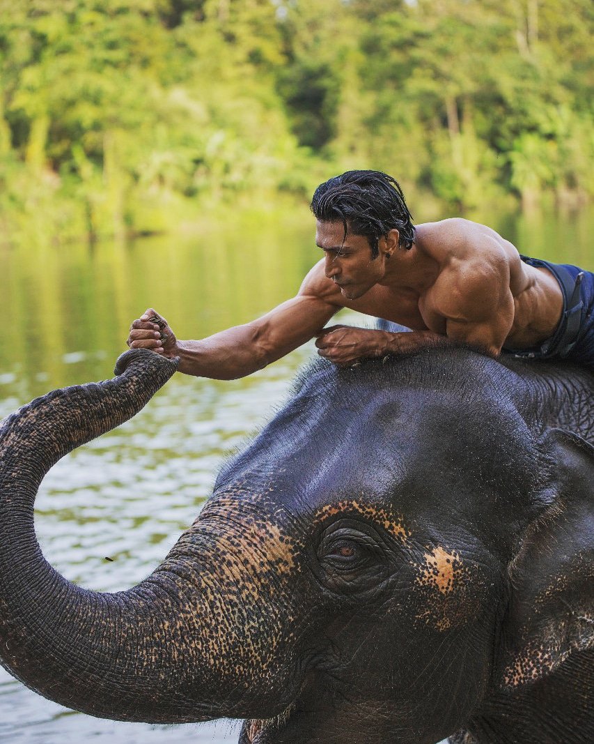 On World Environment Day, Vidyut Jamval who will be seen in 'Junglee' the film directed by American filmmaker Chuck Russell and produced by Junglee Pictures posted a sweet picture on this occasion with his co-star in the film Bhola, the elephant. Vidyut's post on Twitter: I've always been an animal lover but after shooting for #Junglee, I am mesmerized by the mighty elephants! On #WorldEnvironmentDay, I promise to take care of these stunning creatures for life! Junglee is an action thriller film which revolves around the unique friendship between a man and elephant. Vidyut Jamwal,actor Vidyut Jamwal,World Environment Day,World Environment Day 2018,Junglee,Junglee actor,Junglee actor Vidyut Jamwal
