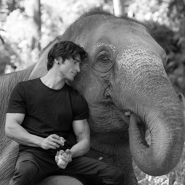 Vidyut plays an animal loving vet who is set out to uncover a deadly poaching racket that took away his father and wiped out his beloved elephant’s family. Junglee is helmed by Hollywood filmmaker Chuck Russel, who has films like The Mask, A Nightmare On Elm Street, The Scorpion King, and I Am Wrath to his credit. Vidyut Jamwal,actor Vidyut Jamwal,World Environment Day,World Environment Day 2018,Junglee,Junglee actor,Junglee actor Vidyut Jamwal