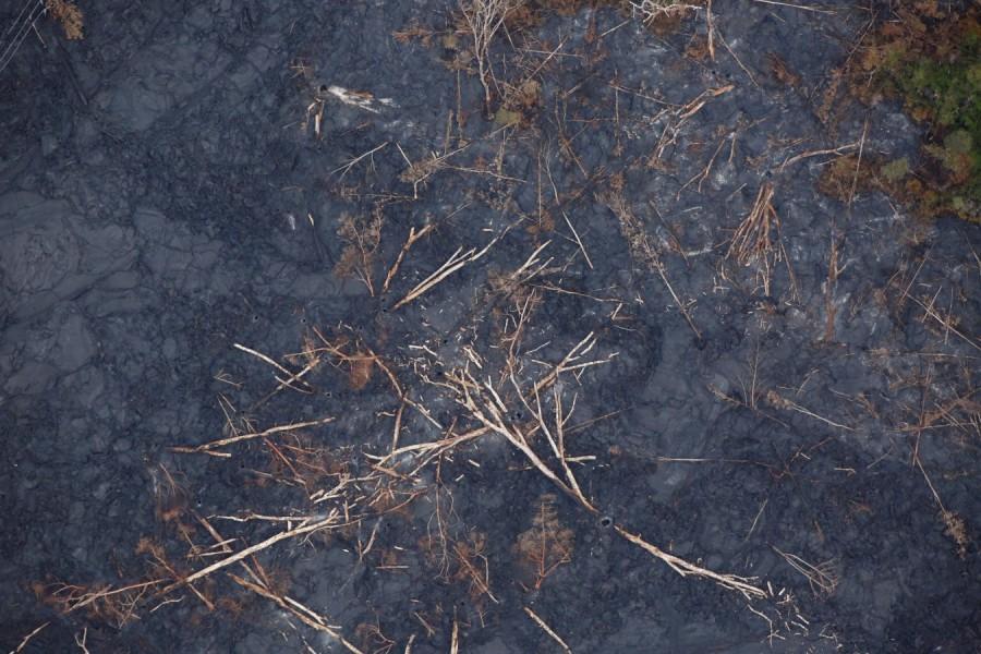 Dead trees lie in a lava flow on the outskirts of Pahoa during ongoing eruptions of the Kilauea Volcano in Hawaii, U.S. Kilauea Volcano,Kilauea volcano eruption,Kilauea volcano lava,Kilauea volcano lava flow,Hawaii's Kilauea volcano