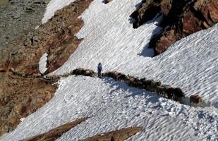 Shepherds,Shepherds crossing,Shepherds Alpine crossing,Alpine crossing