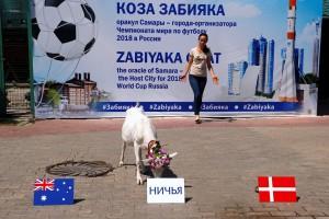 FIFA World Cup 2018,animal oracles,World Cup 2018 animal oracles,World Cup animal oracles,psychic credentials,2018 World Cup