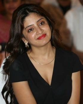 Poonam Kaur At 365 Days Audio Launch