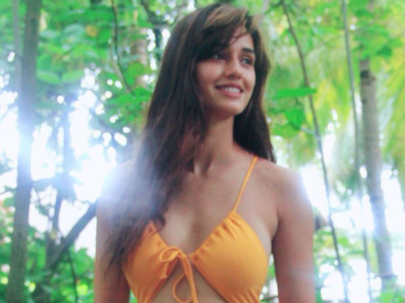 Disha Patani Soaks Up The Sun In Cheeky Yellow Monokini Photos Images Gallery 93350