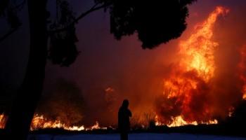 Athens wildfire,Athens,Greece,Wildfires,greece wildfire,Forest wildfire