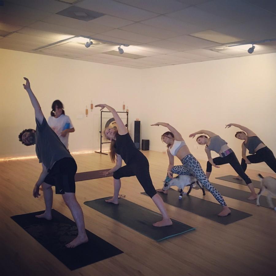 Kate Beckinsale celebrates 45th birthday by doing yoga Kate Beckinsale,Kate Beckinsale birthday celebration,Kate Beckinsale birthday celebration pics,Kate Beckinsale birthday celebration images,Kate Beckinsale birthday celebration stills,Michael Sheen,Kate Beckinsale and Michael Sheen,Kate Beckinsale with Mic