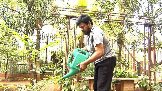 Mega Star Chiranjeevi accepts Green Challenge