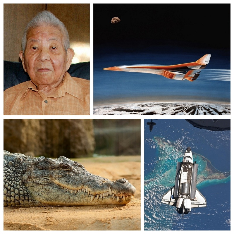 Nasa,nasa images,secret project,top secret missions,conspiracy,wild life,king of the jungle,lions,atlantis,Mickey mouse