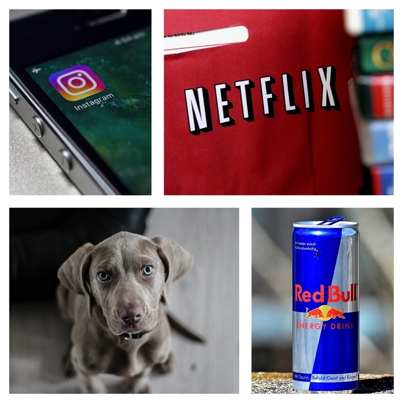 Sleep,sleep deprived,Insomnia,better sleep,Relatable Quotes,relatable facts,weird world,25 things,yoga,red bull,german shepherd cute