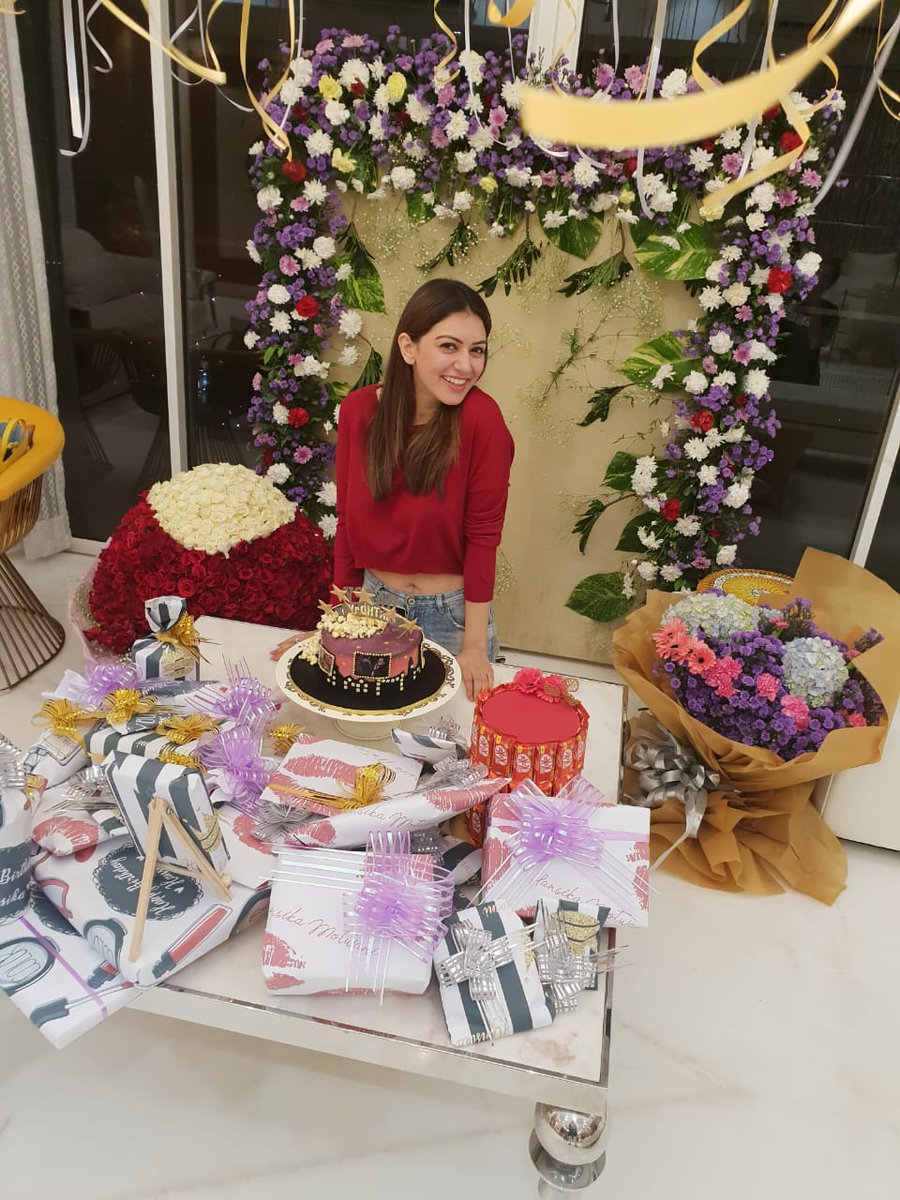 Hansika Motwani celebrates 27th birthday with family and friends