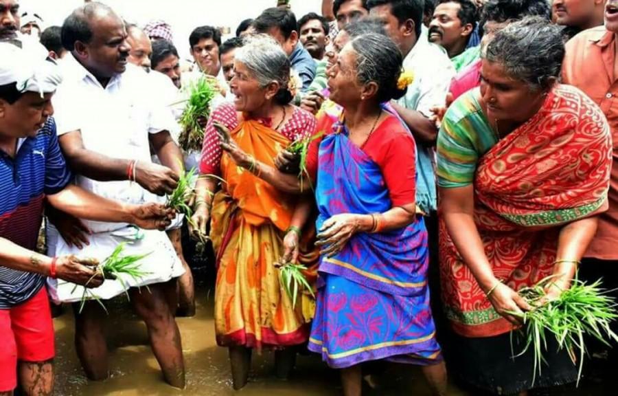 Kumaraswamy turns farmer, sows paddy seedlings for bumper crop CM Kumaraswamy,Kumaraswamy,Kumaraswamy turns farmer,Kumaraswamy paddy seedlings,Karnataka CM,Aralakuppe village