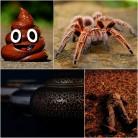 The Hotel Room Horror