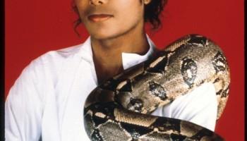 Michael Jackson,michael jackson king of pop,king of pop,jackson5,smooth criminal,thriller michael jackson,legacy,musical legend,moonwalk