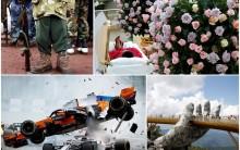Pictures Of The Month: August 2018