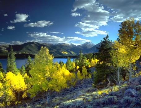 25. Aspen (North America)