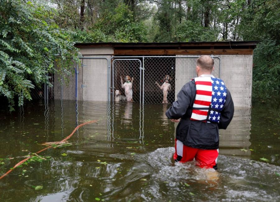Hurricane Florence,Hurricane Florence North Carolina,Hurricane Florence in Carolina,Hurricane in Carolina