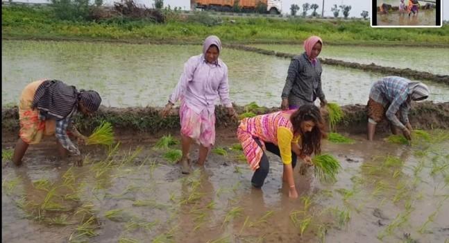 Sri Reddy turns farmer
